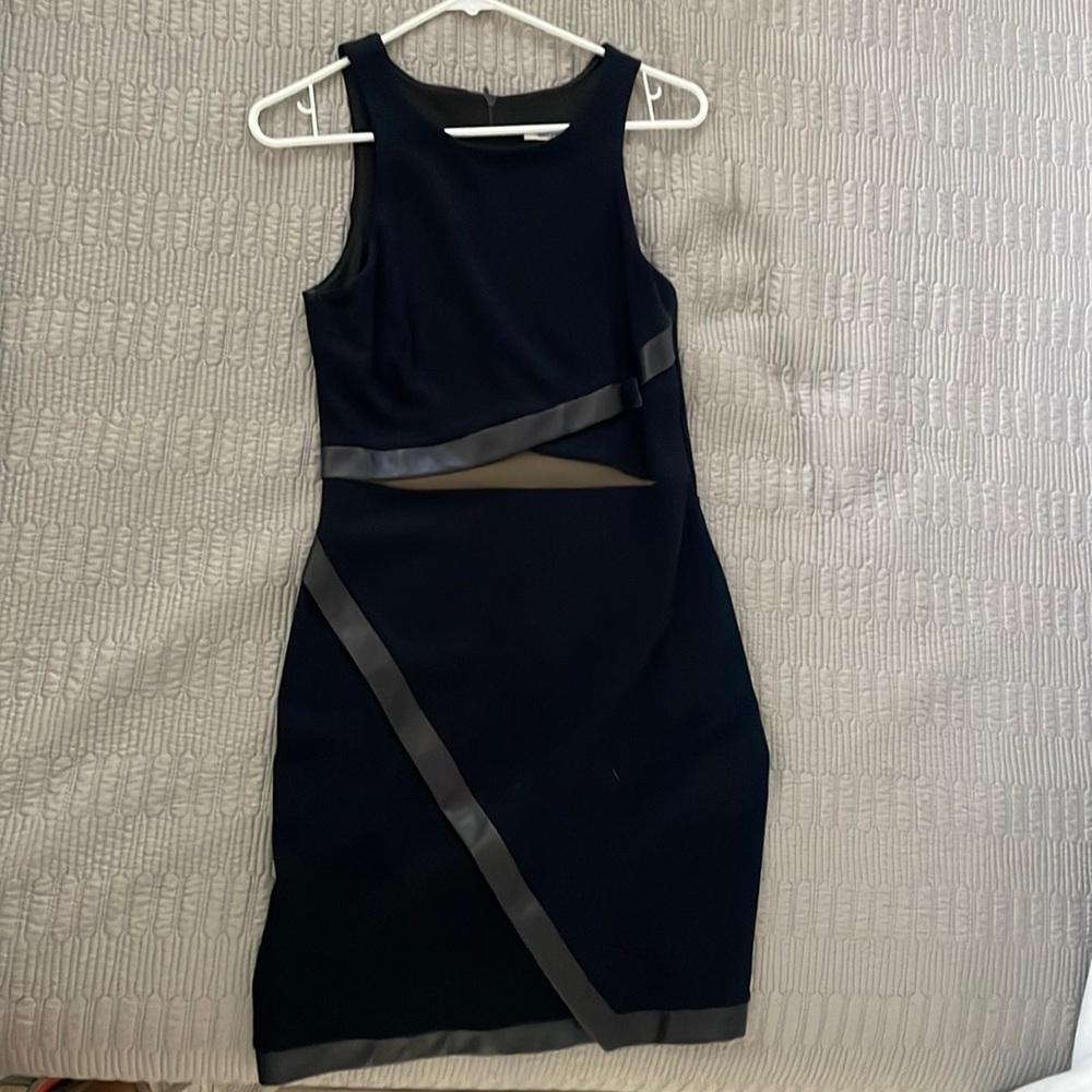 Bailey 44 dress with leather detail and nude mesh
